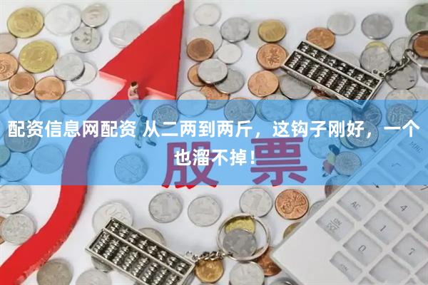配资信息网配资 从二两到两斤，这钩子刚好，一个也溜不掉！